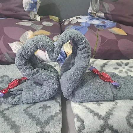 Manilla Vendeghaza Kaposvar