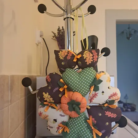 Manilla Vendeghaza Apartman Kaposvár