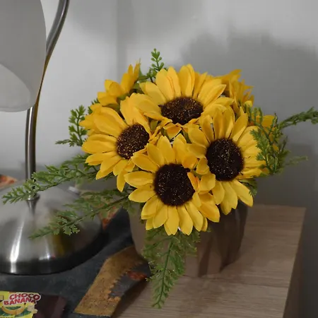 Manilla Vendeghaza *