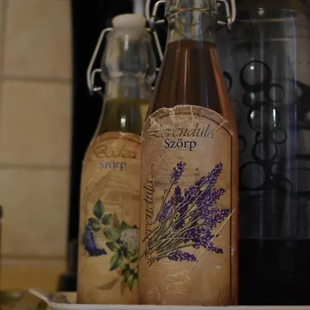 Manilla Vendeghaza Kaposvár